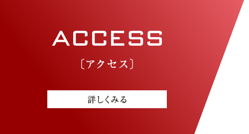 ACCESS〔アクセス〕